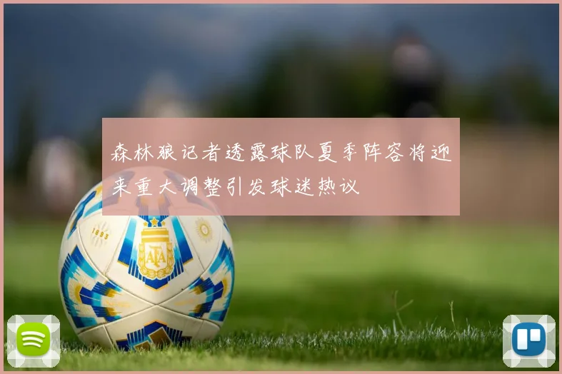 森林狼记者透露球队夏季阵容将迎来重大调整引发球迷热议